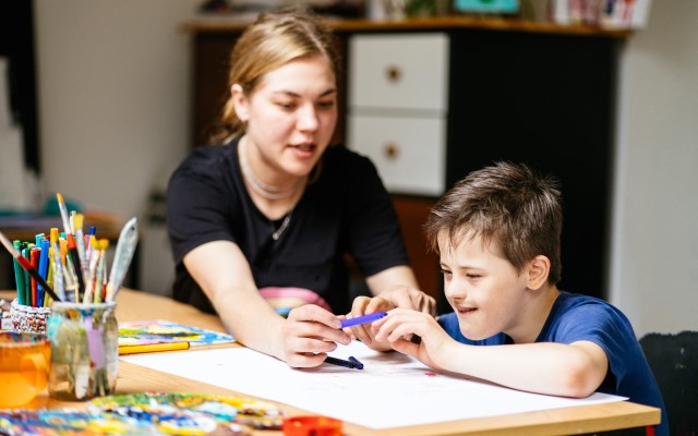 Fears learning disability champion no longer priority